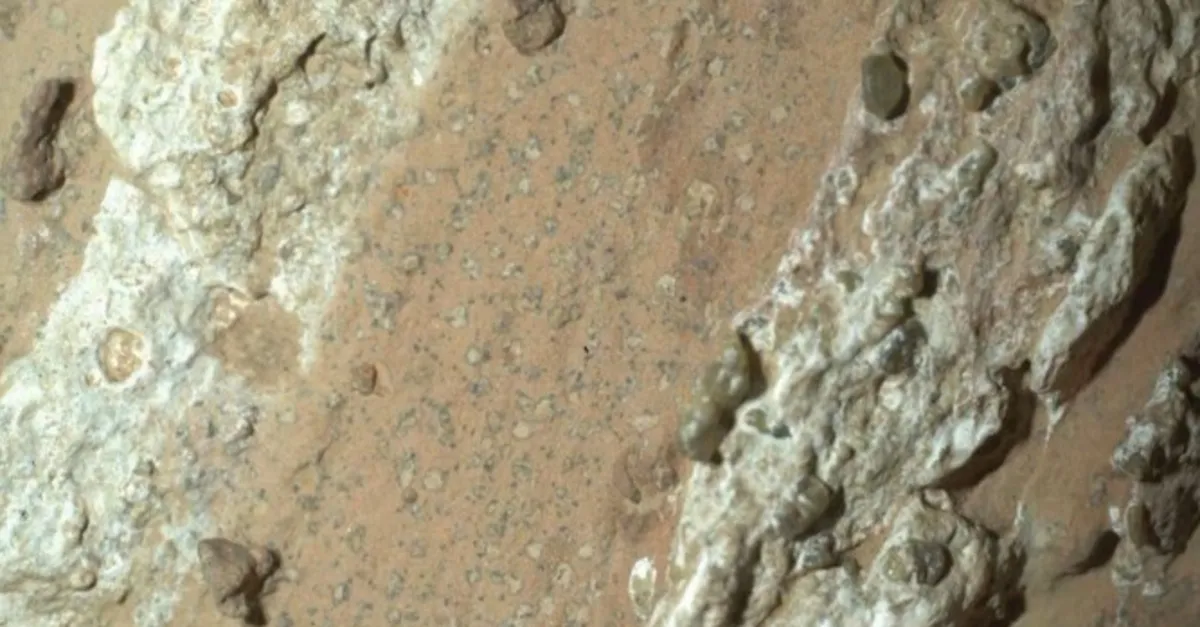 Mars’ta yaşam var mı?