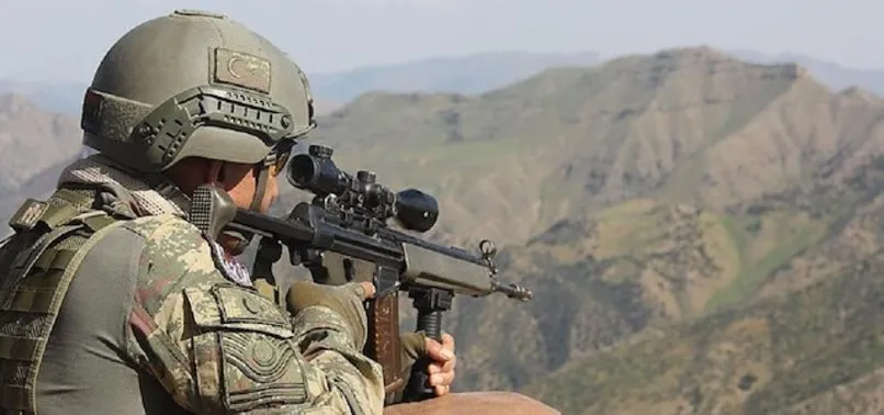 Tunceli'de 1 terörist etkisiz hale getirildi