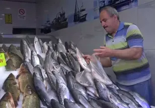 Balıkçılar 4,5 ay sonra "Vira bismillah" dedi