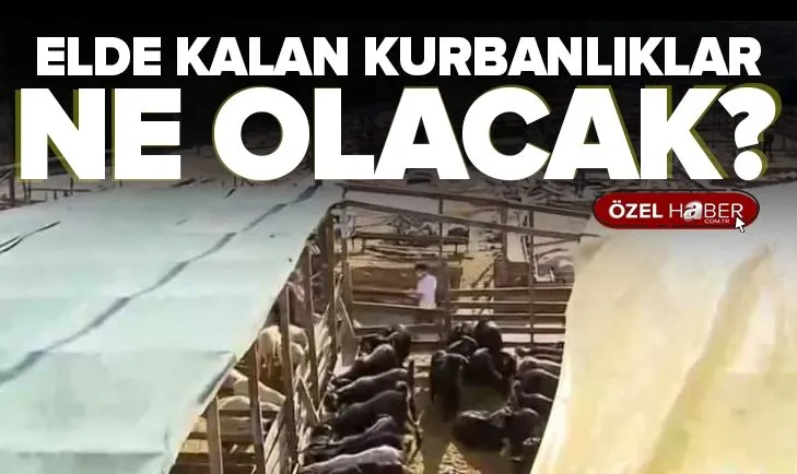 Bayramın 3. gününde kurban pazarları! Elde kalan kurbanlıklar ne olacak?