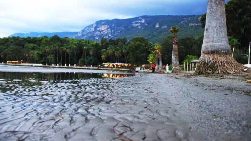 Yalova'dan sonra şimdi de Muğla'da korkutan görüntü