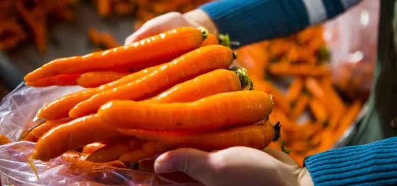 300 ton havuçla yakalandı, gözaltına alındı!