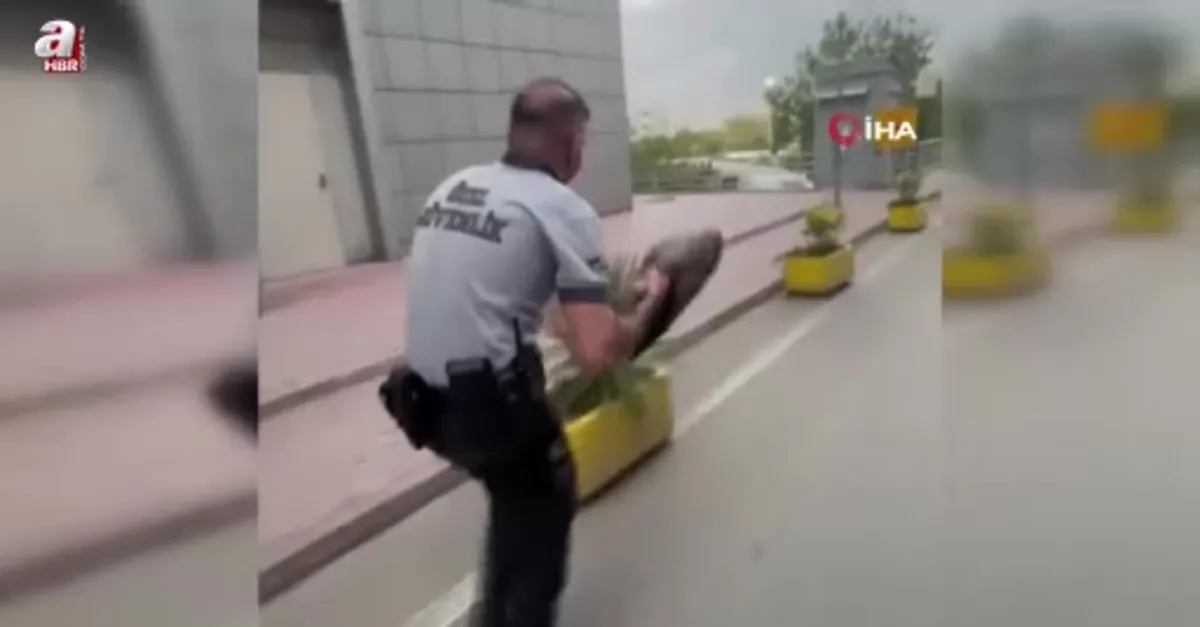 Bursa'da bir martı acile uçarak girdi