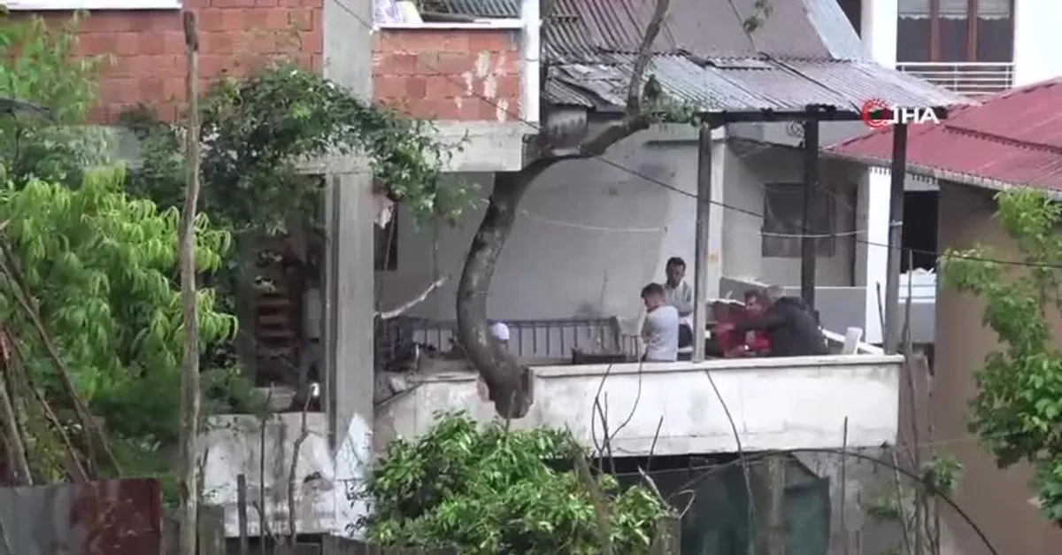 Babasının diktiği ağacı kesmeye kıyamadı! Balkonun içerisinden geçirdi