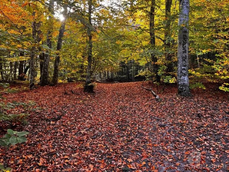 Görüntüler Bursa’dan… Kırık fay hattı ortaya mest eden güzelliği çıkardı! Sonbahar güzelliği… 4