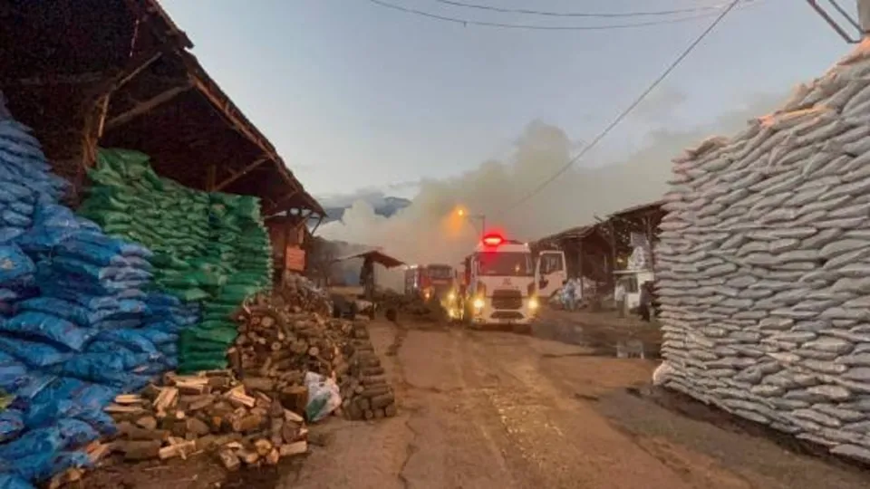 Bursa'da odun ve kömür depolama tesisindeki 2 depoda yangın! Maddi hasar oluştu