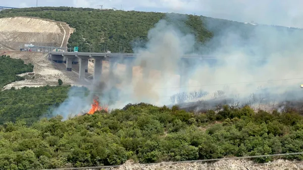 Son dakika: Gebze’de orman yangını - 5
