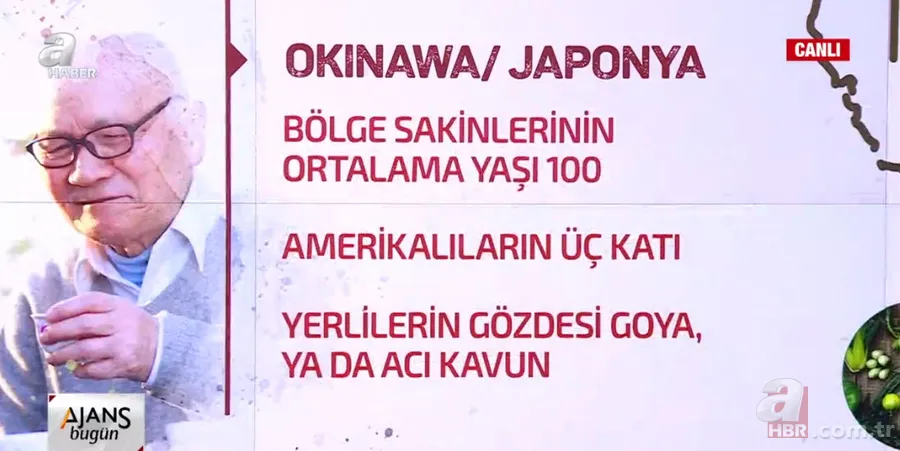 Dünyanın en uzun ömürlü insanları ne yiyor? Nerede yaşıyorlar? İşte dünyanın "mavi bölgeleri" 6