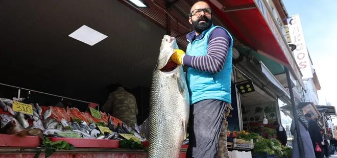 Keban Barajı'nda yakalandı! Tam 1,5 metre uzunluğunda 63 kg ağırlığında