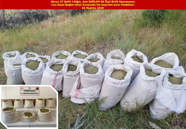 Diyarbakır'da 15 milyon kök Hint keneviri ele geçirildi - 2