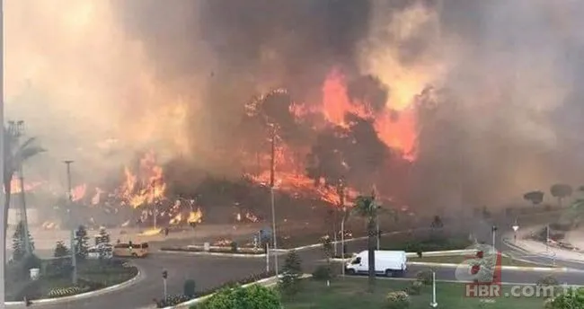 Manavgat, Marmaris, Fethiye... Türkiye’de yangın kabusu! İşte yangınlarla ilgili son gelişmeler...