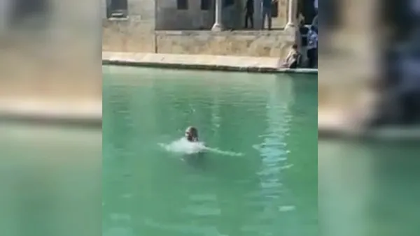 balikligolde-saskina-ceviren-olay-baliklarin-arasina-daldi-1622660829359.jpg Balıklıgöl'de şaşkına çeviren olay! Balıkların arasına daldı - 3