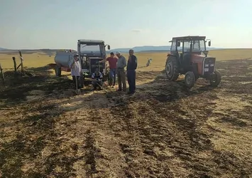 Kütahya'da yüksek gerilim hattına çarpan kuş yangın çıkarttı