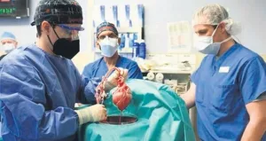 ’İnsan hücresinden organ üreteceğiz’