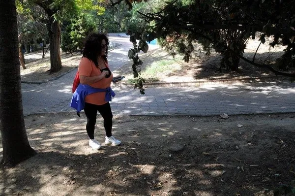 CHP’li Beşiktaş Belediyesi Abbasağa’da ağaç kıyımına devam ediyor!