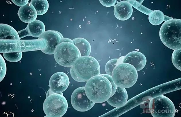 Sabah bir bardak suya tükürün! Tükürüğünüz suyun yüzeyinde kalmıyorsa… 14