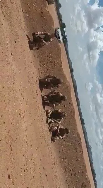 Çad ordusu Fransız askerlerini sıraya dizdi! Afrika’da roller değişti