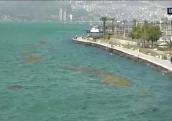 CHP belediyeciliği yine sınıfta kaldı! İzmir Körfezi can çekişiyor