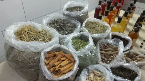 Balıkesir’de koronaya karşı "dört hırsız sirkesi" - 2