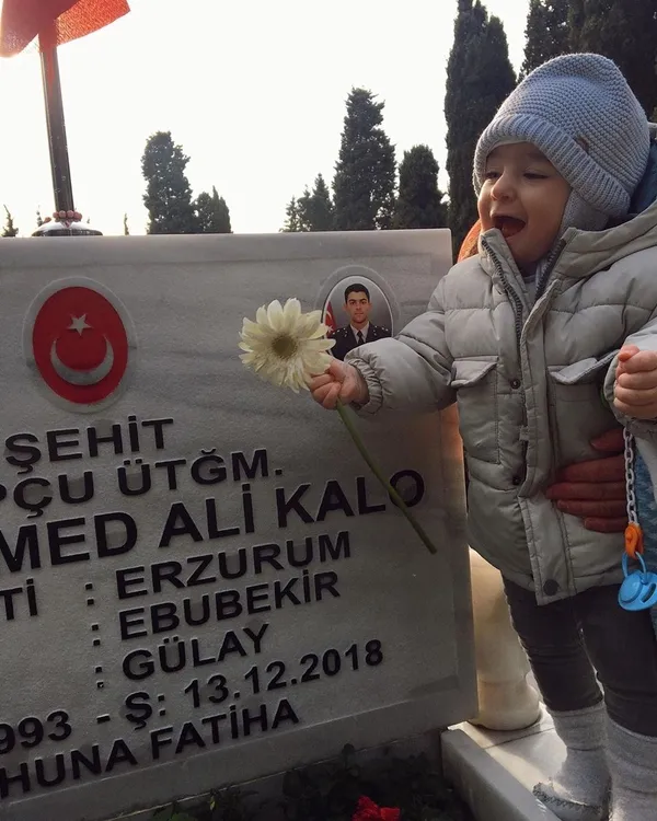 Kahraman şehit Muhammed Ali Kalo’nun diktiği fidan büyüdü