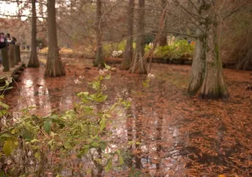 Atatürk Arboretumu'nda sonbahar