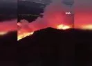 Hatay’da orman yangını