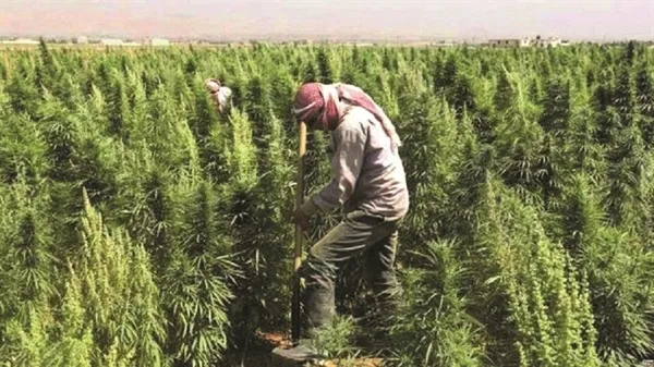 Terör örgütü PKK’yı deşifre ettiler! Kirli dosyalar ortaya serildi | Yasa dışı göç, uyuşturucu, insan kaçakçılığı...