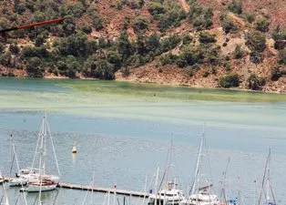 Fethiye Körfezi'nde alarm! Sarı ve yeşile büründü