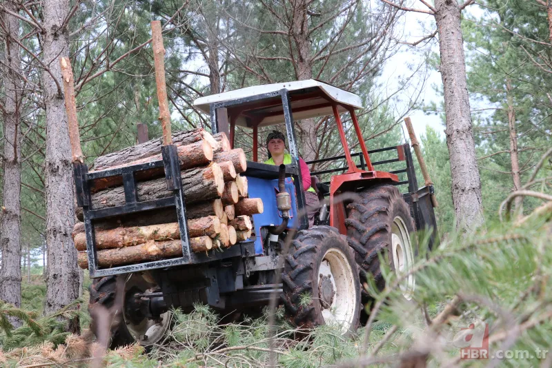 Orman Genel Müdürlüğü mevsimlik işçi alımı 2022 | Bakanlık duyurdu! Karar Resmi Gazete'de! İş arayanlara güzel haber 3