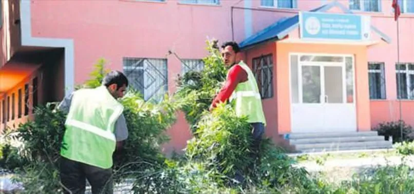 Haşhaşi yurdu!