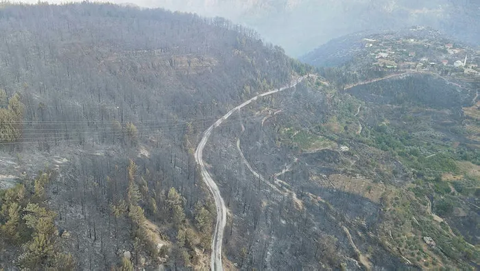 Son dakika: Başkan Erdoğan orman yangınlarıyla ilgili bakanlardan bilgi aldı! Devlet yangınlara karşı seferber