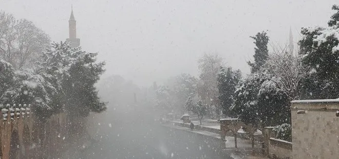 Şanlıurfa'da eğitime sağanak engeli! Valilik duyurdu