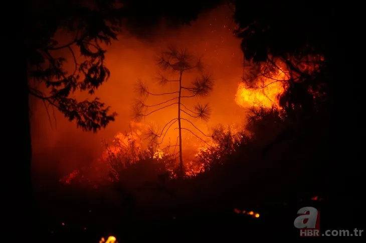 ABD’deki yangınlarda hayatını kaybedenlerin sayısı arttı