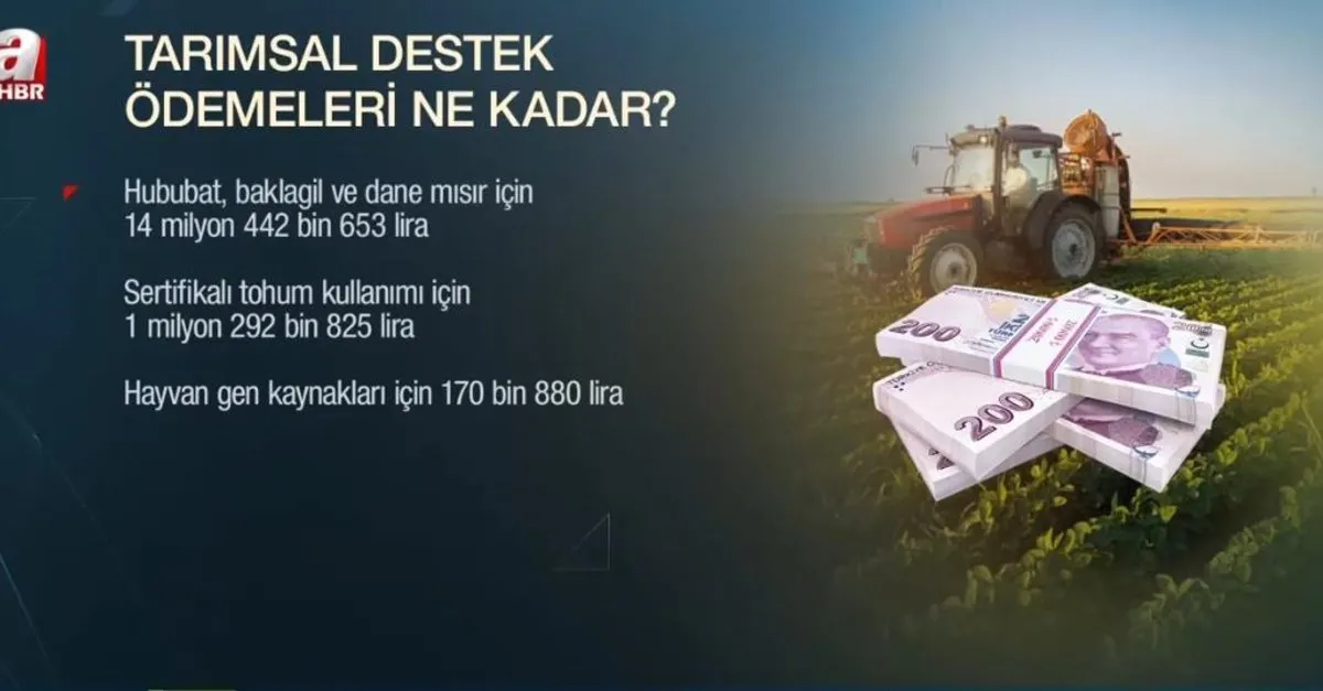 Tarım Kredi’den çiftçiye özel destek! Tarımsal destek ödemeleri ne kadar?