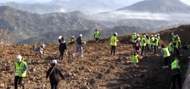 11 Kasım’daki fidan dikme seferberliğine 30 ülkeden destek