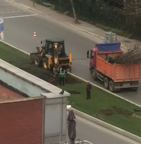Son dakika: CHP’li İBB’den bir katliam daha: Ataşehir’de ağaçlar iş makineleriyle güpegündüz söküldü! Vatandaşlar isyan etti