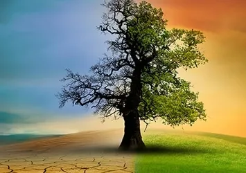 Türkiye'nin ilk İklim Kanunu yürürlükte!