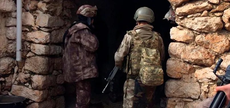 Mardin'de PKK'ya dev operasyon