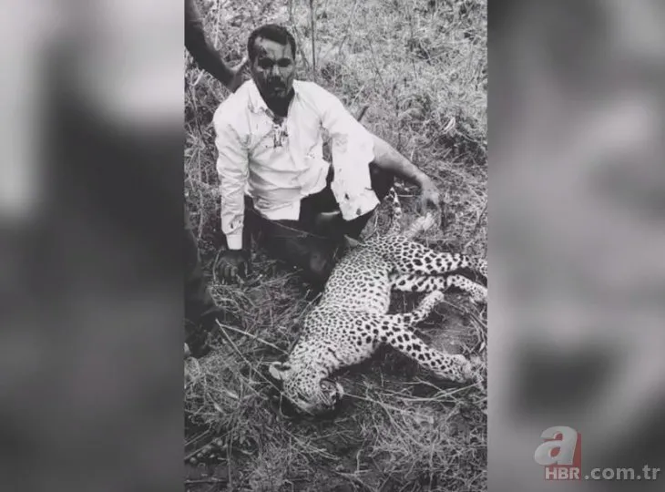 Ailesi için leoparı dizleriyle öldürdü! Hindistan’da dehşet dolu anlar