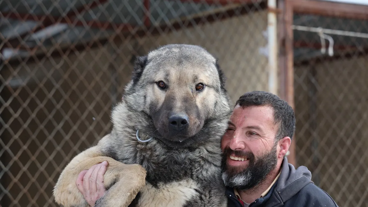 Kangallar sıcakta yaşayabilir mi?