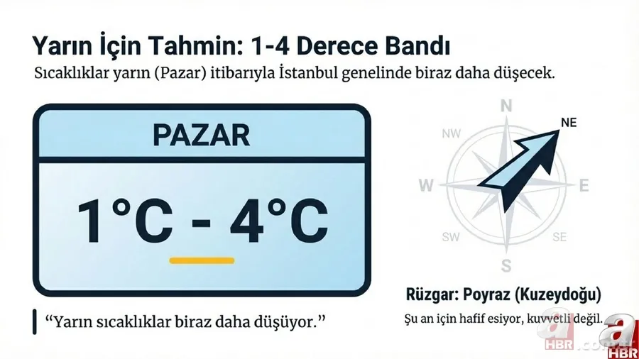 Bakanlık ve MGM uyardı: 12 ilde sarı kodlu alarm! İstanbul'da kar yağışı başladı 6
