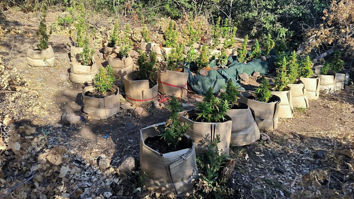 Tunceli'de uyuşturucu ticareti yapan şüpheli yakalandı