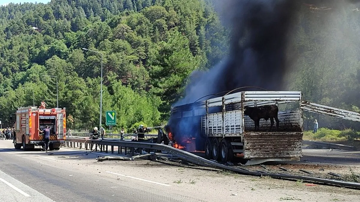 Büyükbaş hayvan yüklü tır alev alev yandı