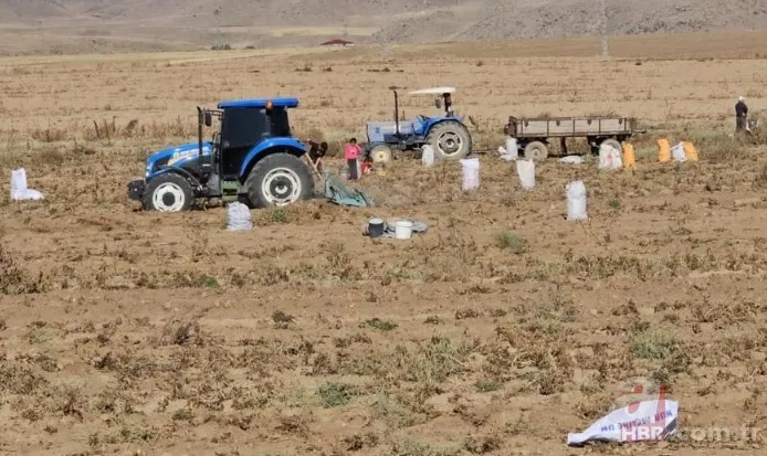 "Ücretsiz"i duyan torbasıyla koştu! Adeta akın ettiler 3