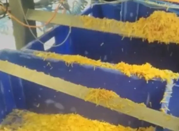 kinderin-ardindan-nestlede-buyuk-skandal-uretilen-pizzadaki-bakteri-nedeniyle-iki-cocuk-oldu-uretim-tesislerin-1649432401555.jpg Kinder'in ardından Nestle'de büyük skandal! Üretilen pizzadaki bakteri nedeniyle iki çocuk öldü! Üretim tesislerinde gezen kurtçuklar... - 2