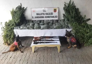 Malatya'da uyuşturucu operasyonu: 5 gözaltı
