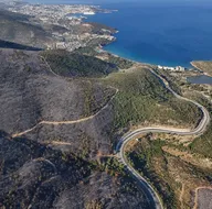 Facianın boyutu gün ağarınca ortaya çıktı!