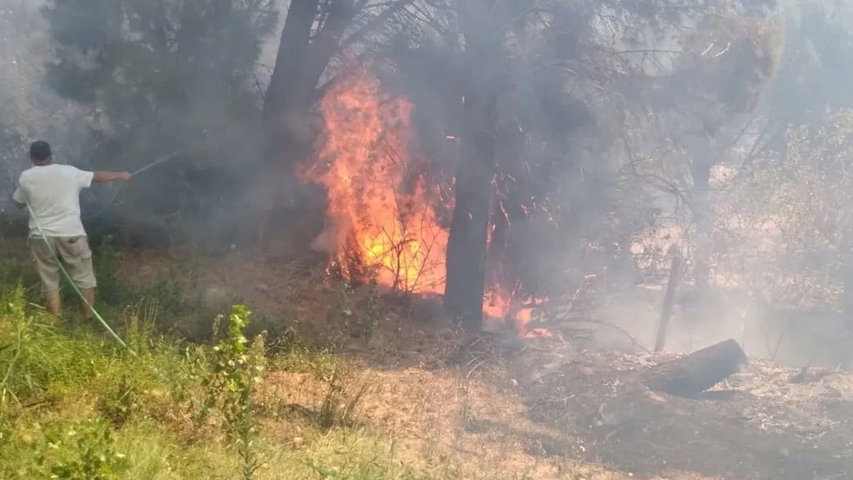 Balıkesir'in Erdek ilçesinde çıkan orman yangını kontrol altına alındı