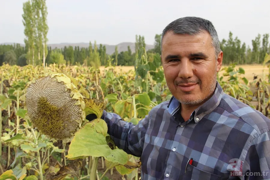 'Soğukta yapamazsın' dediler, şimdi paraya para demiyor 1