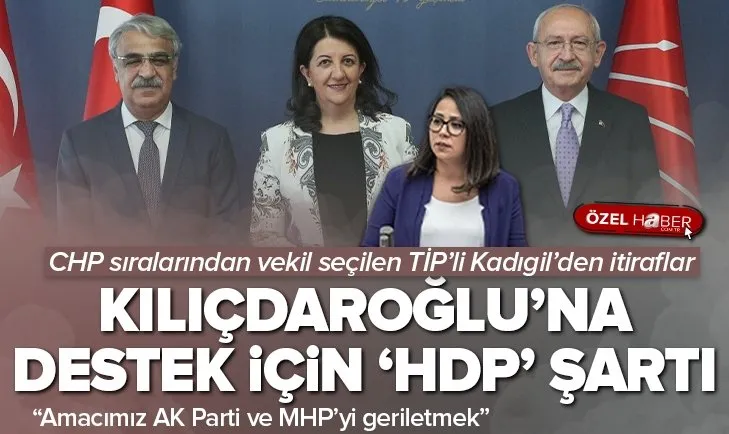 TİP’li Kadıgil’den Bay Kemal’e ’HDP’ şartlı destek